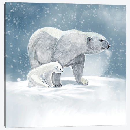 Polar Bear Study Canvas Print #TLT85} by Thomas Little Canvas Wall Art