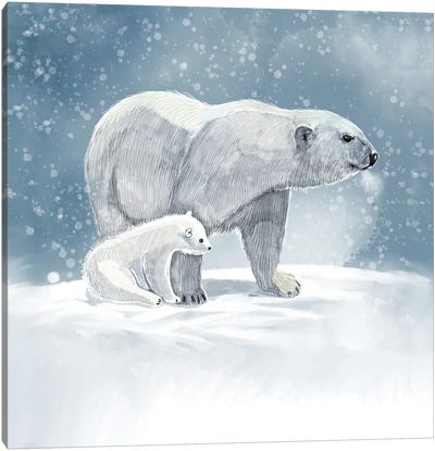 Polar Bear Study Canvas Art Print - Thomas Little