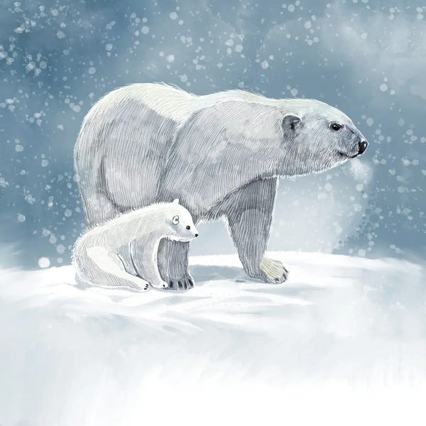 Thomas Little: Polar Bear Study by Thomas Little