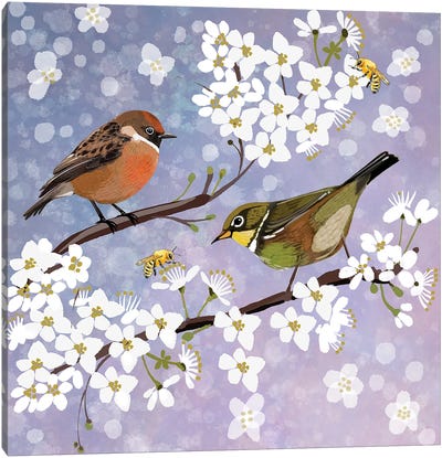 Sakura Spring Canvas Art Print - Robin Art