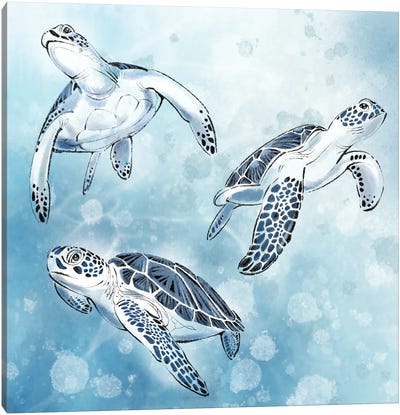 Sea Turtles in Ocean Blue Canvas Art Print - Thomas Little
