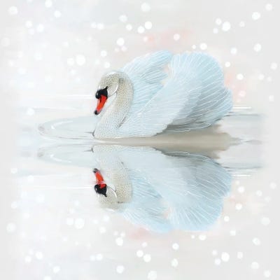 Serene Contemplation by Thomas Little metal wall art