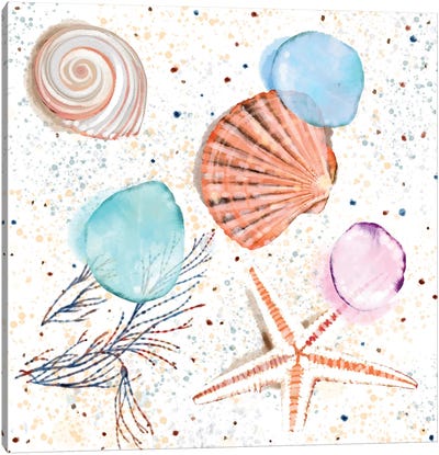 Shells Sand and Seaglass Canvas Art Print - Sea Shell Art