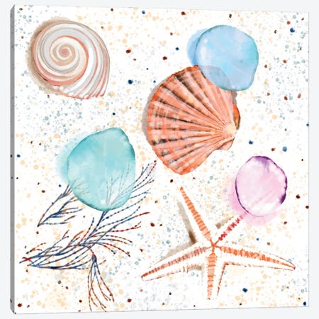 Shells Sand and Seaglass Canvas Print #TLT98} by Thomas Little Canvas Wall Art