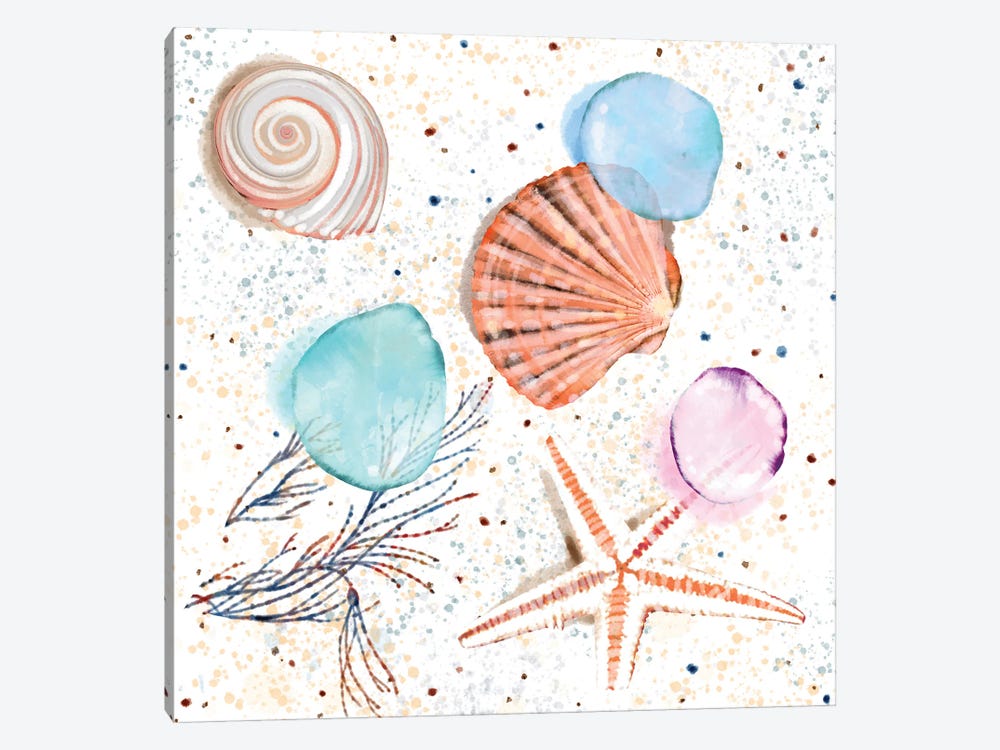 Shells Sand and Seaglass by Thomas Little 1-piece Canvas Wall Art