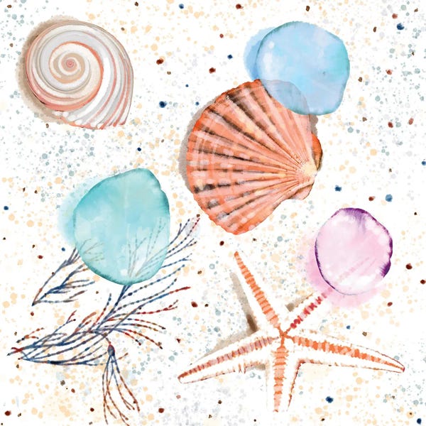 Thomas Little: Shells Sand and Seaglass by Thomas Little