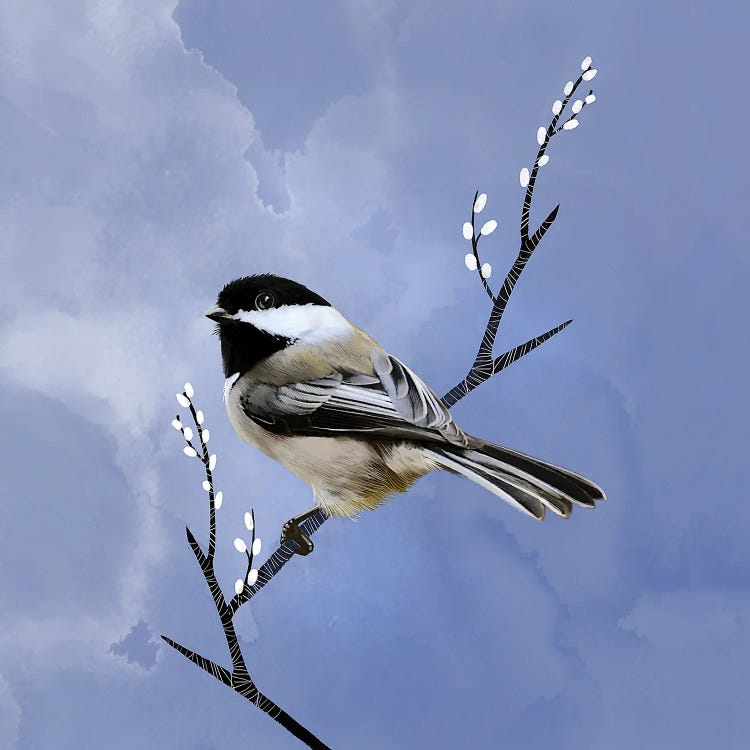 Black-capped Chichadee by Thomas Little wall art
