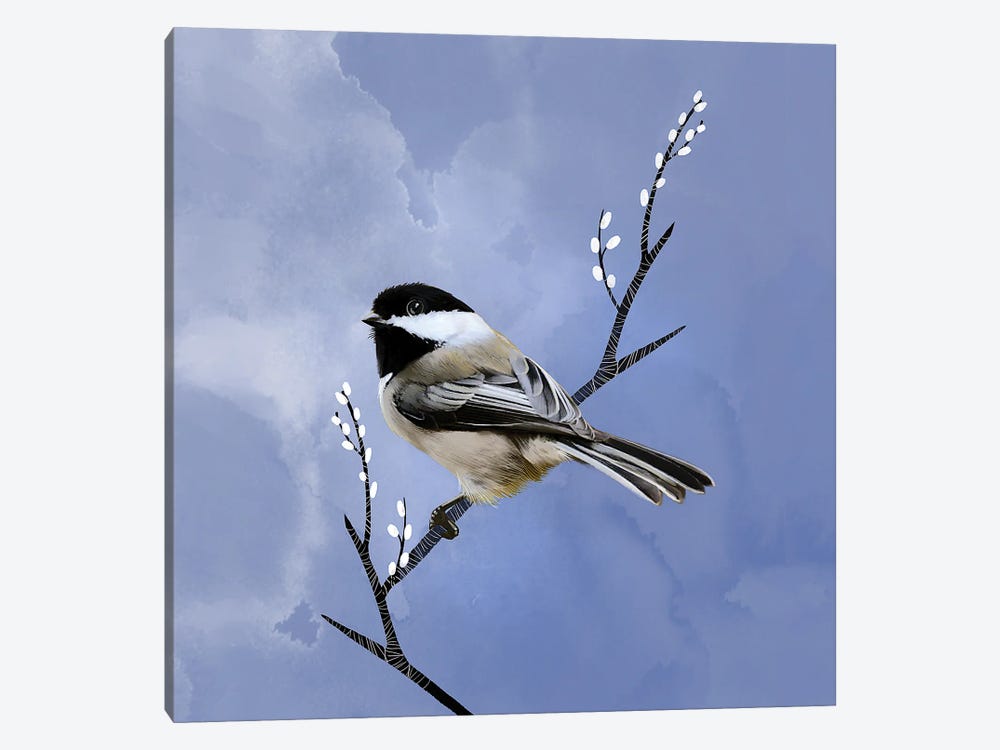 Black-capped Chichadee by Thomas Little 1-piece Canvas Art