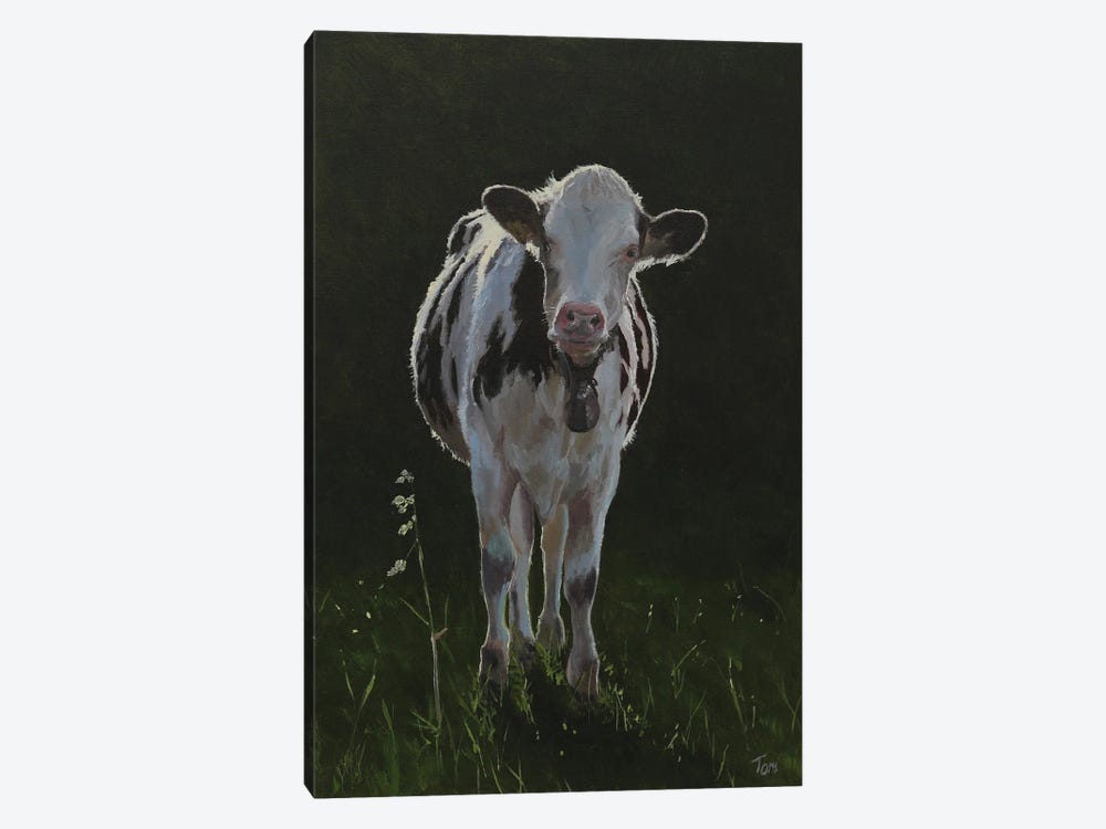 Holstein Cow Late Afternoon by Tom Clay 1-piece Canvas Artwork