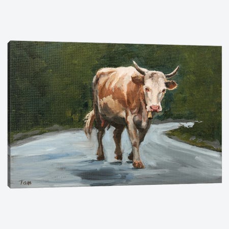 Simmental Cow On Road Canvas Print #TLY12} by Tom Clay Art Print