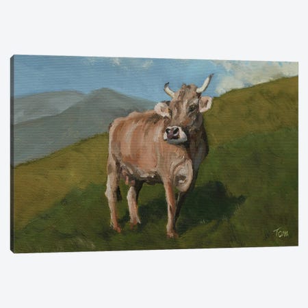 Brown Swiss Cow On Hillside Canvas Print #TLY15} by Tom Clay Canvas Artwork