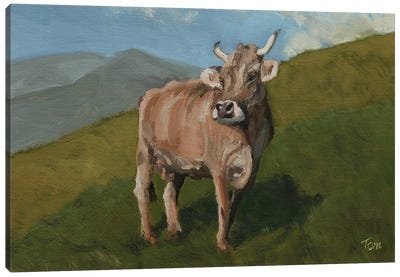 Brown Swiss Cow On Hillside Canvas Art Print - Tom Clay