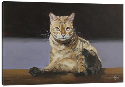 I Was Busy Canvas Art Print - Tabby Cat Art