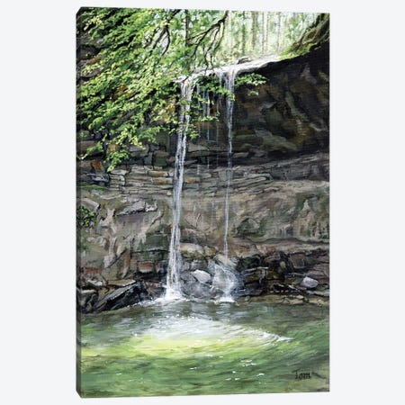 The Waterfall At Aabachtobel Canvas Print #TLY18} by Tom Clay Canvas Art Print