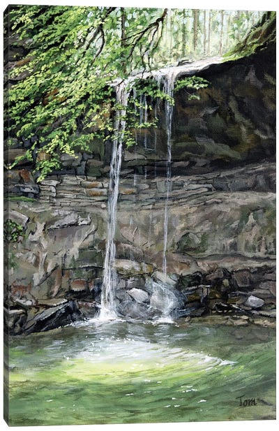 The Waterfall At Aabachtobel Canvas Art Print - Tom Clay