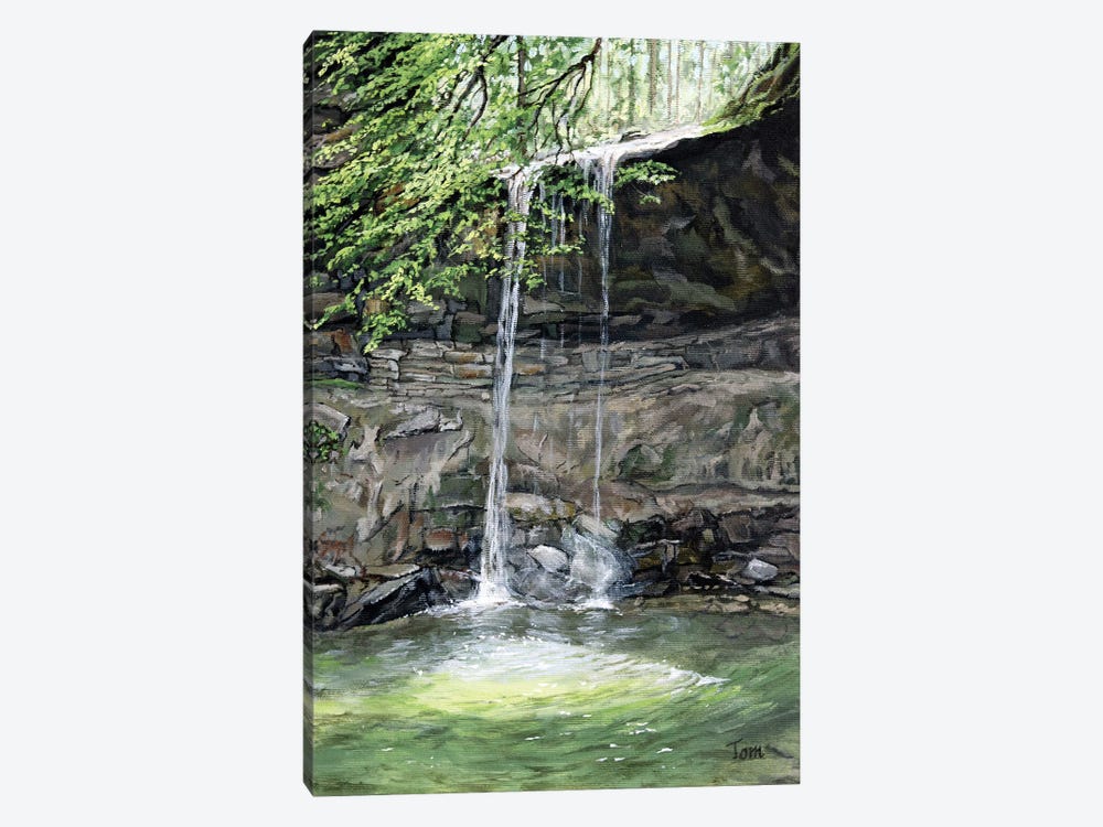The Waterfall At Aabachtobel by Tom Clay 1-piece Art Print