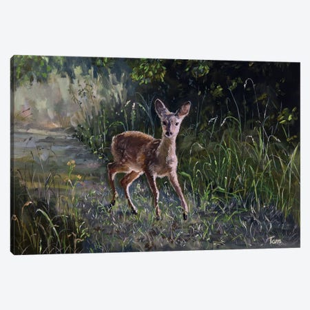 Fawn In Woodland Canvas Print #TLY22} by Tom Clay Canvas Art