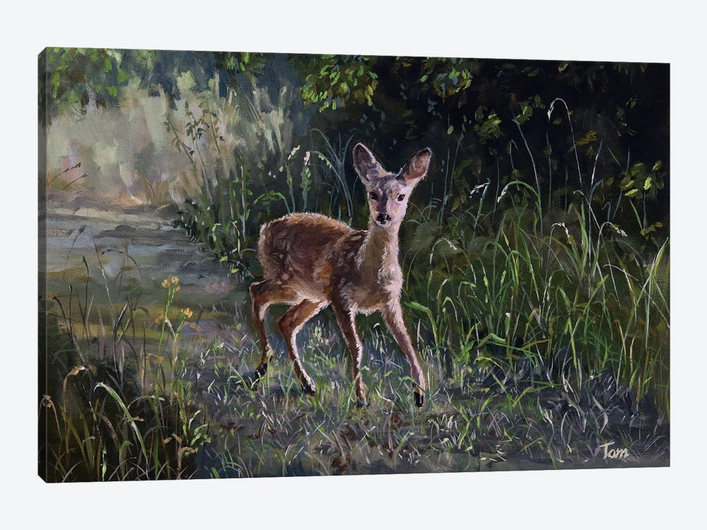 Fawn In Woodland by Tom Clay 1-piece Canvas Art
