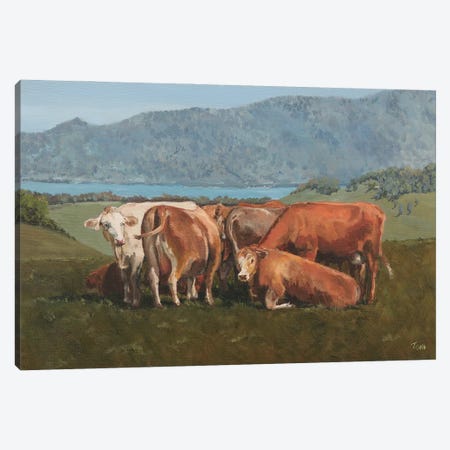 Cows Above Zugersee Canvas Print #TLY32} by Tom Clay Canvas Print