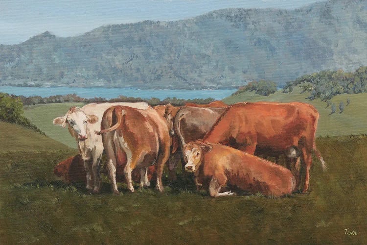 Cows Above Zugersee