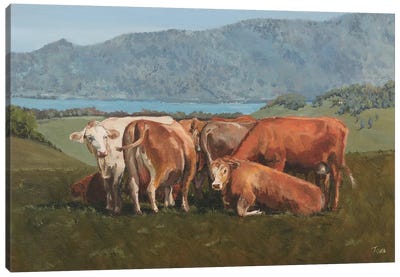 Cows Above Zugersee Canvas Art Print - Switzerland Art