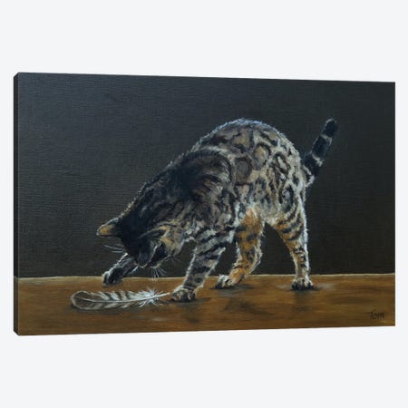 Bengal Cat With Red Kite Feather Canvas Print #TLY39} by Tom Clay Canvas Art Print