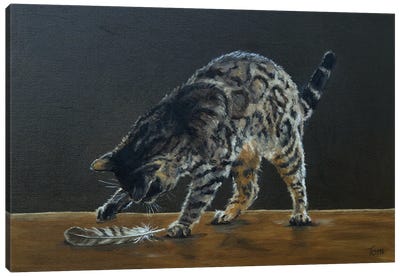 Bengal Cat With Red Kite Feather Canvas Art Print