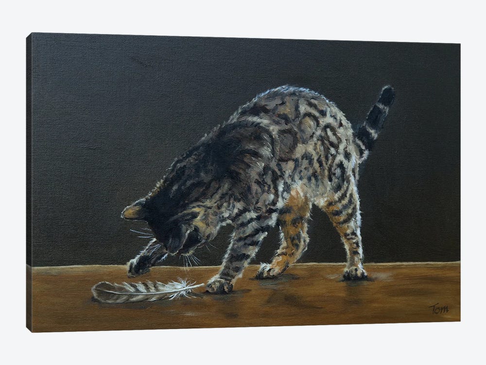 Bengal Cat With Red Kite Feather by Tom Clay 1-piece Canvas Artwork