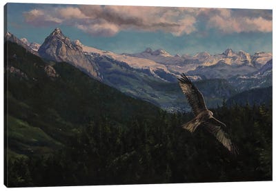 Above The Meggerwald Canvas Art Print - Switzerland Art
