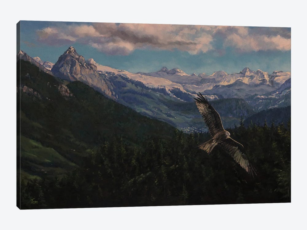 Above The Meggerwald by Tom Clay 1-piece Canvas Art Print