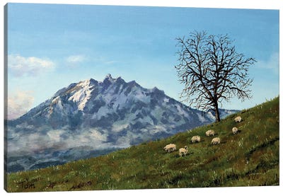Mount Pilatus Canvas Art Print - Tom Clay