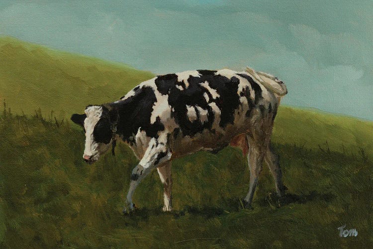 Holstein Cow II