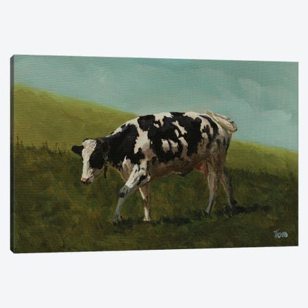 Holstein Cow II Canvas Print #TLY45} by Tom Clay Art Print