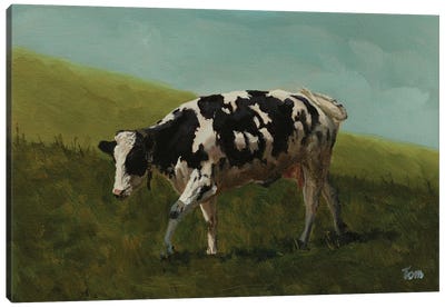 Holstein Cow II Canvas Art Print - Tom Clay