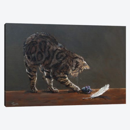 Cat With Toy Mouse And Feather Canvas Print #TLY47} by Tom Clay Canvas Print