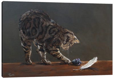 Cat With Toy Mouse And Feather Canvas Art Print - Mouse Art