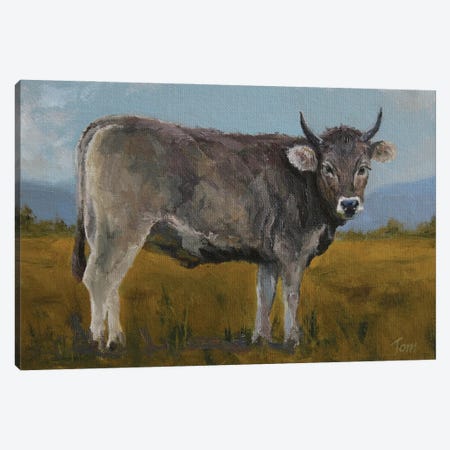 Swiss Brown Cow Canvas Print #TLY49} by Tom Clay Canvas Art