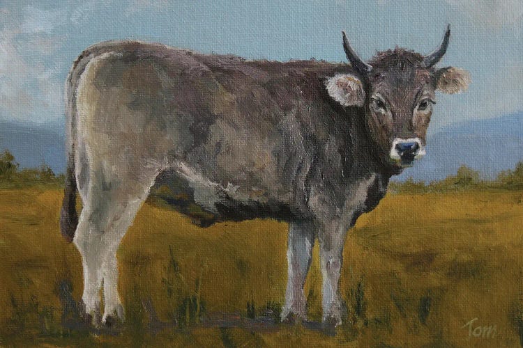 Swiss Brown Cow