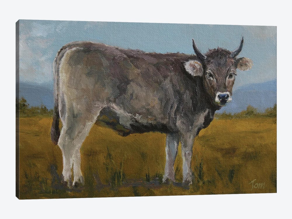 Swiss Brown Cow by Tom Clay 1-piece Canvas Art Print