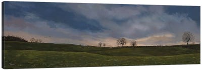 Yorkshire Fields Canvas Art Print