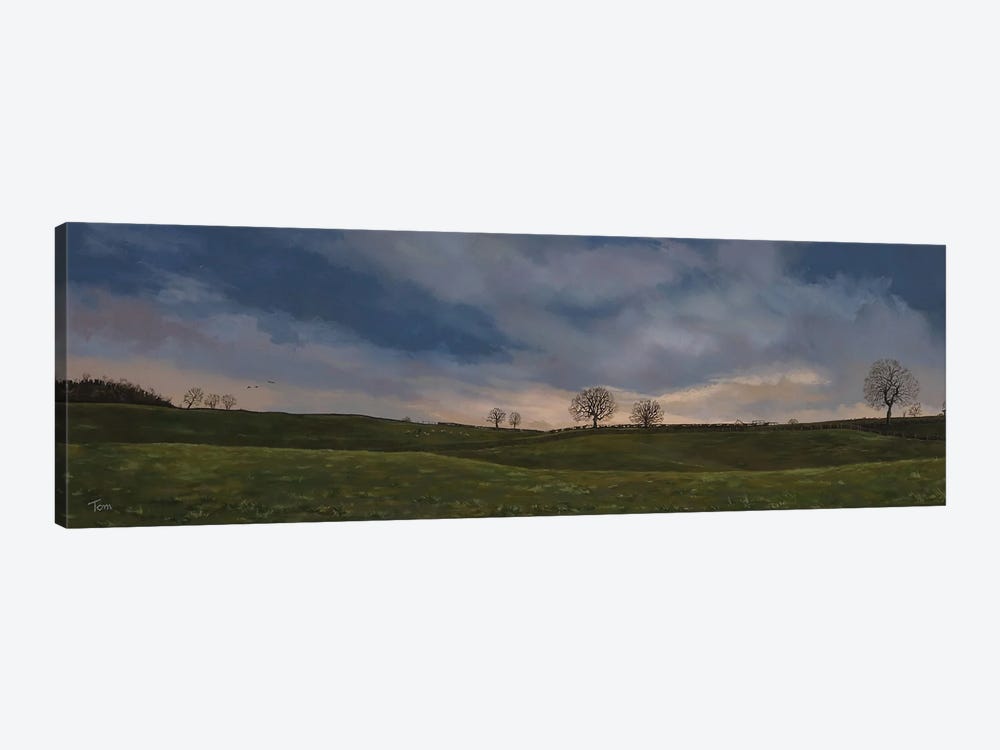 Yorkshire Fields by Tom Clay 1-piece Canvas Artwork