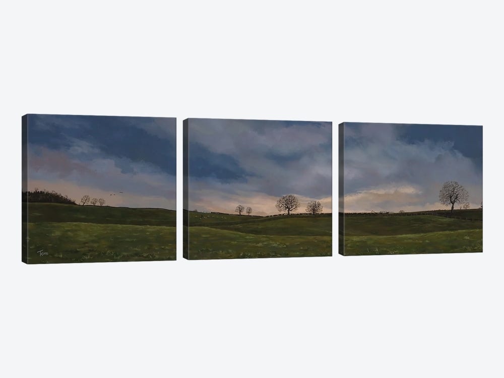 Yorkshire Fields by Tom Clay 3-piece Canvas Art