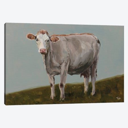 White Hereford Cow Canvas Print #TLY53} by Tom Clay Canvas Art Print