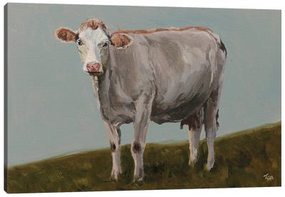 White Hereford Cow Canvas Art Print - Tom Clay