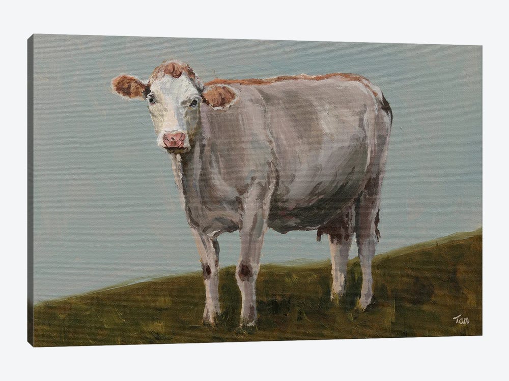White Hereford Cow by Tom Clay 1-piece Canvas Wall Art