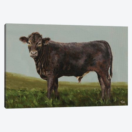 Braunvieh Bull Calf Canvas Print #TLY56} by Tom Clay Canvas Art