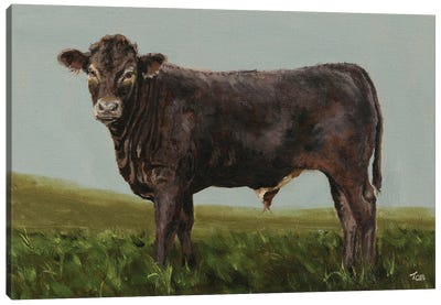 Braunvieh Bull Calf Canvas Art Print - Tom Clay
