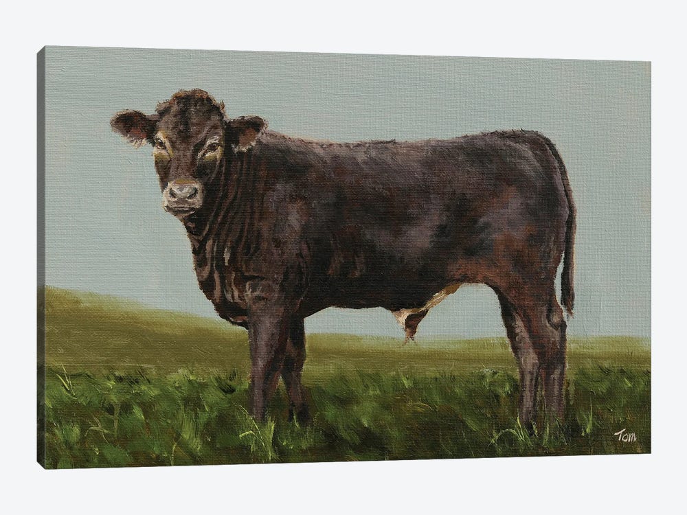 Braunvieh Bull Calf by Tom Clay 1-piece Art Print