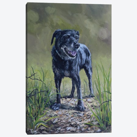 Dog Canvas Print #TLY59} by Tom Clay Art Print