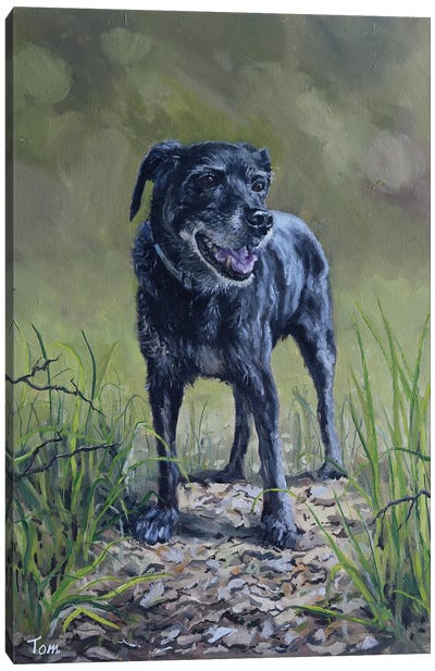 Dog Canvas Art Print - Tom Clay